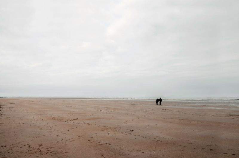 LinguaMaestro Srl - Image 4